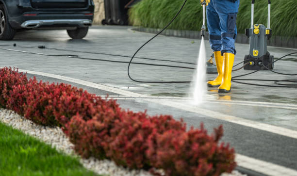 Best Solar Panel Cleaning  in Bishop, TX